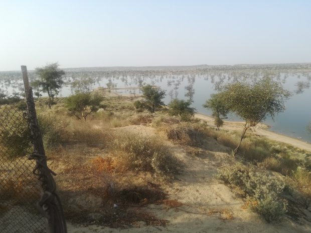 Plantation at Gorano Reservoir