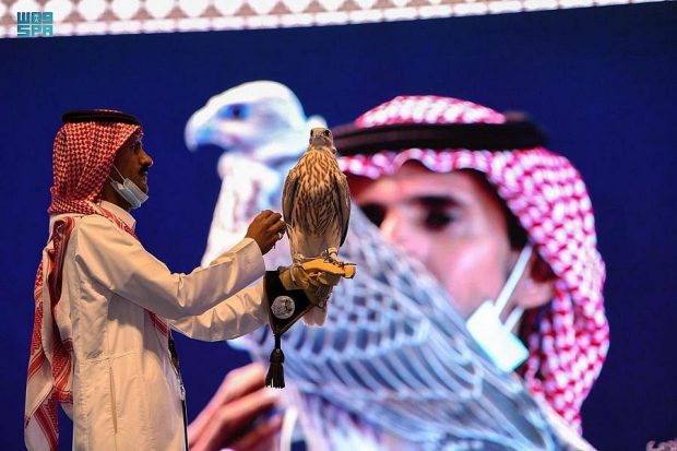 A rare Saudi falcon goes on display (SPA)