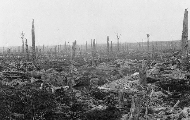 A view of Flander's Field in Belgium. What was once a forest has been pulverized by countless artillery strikes from British and German heavy guns