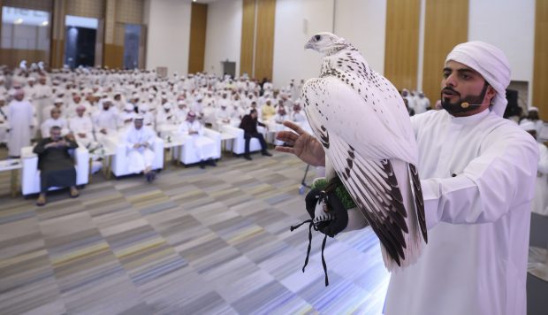 The falcon that set the record at ADIHEX 2022