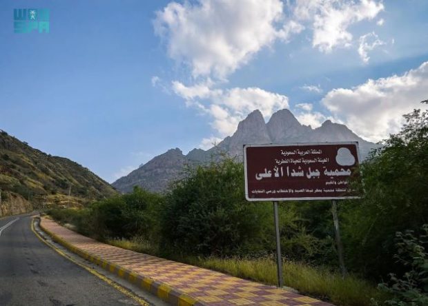 Shada Al-Ala Mountain Reserve (SPA)