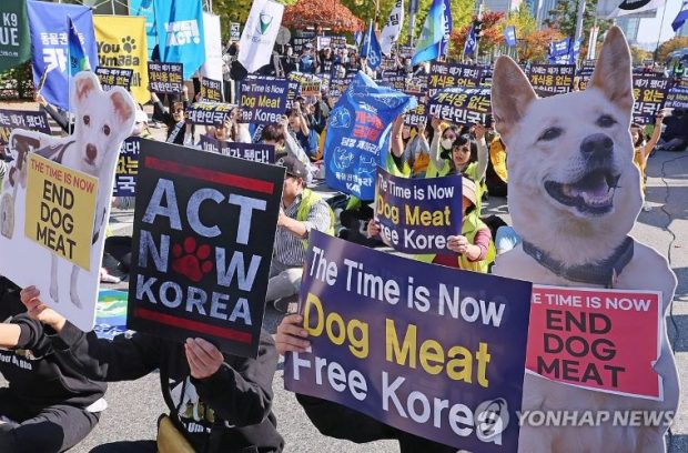 People participate in a demonstration calling for an end to dog meat consumption in Seoul on Oct. 29, 2023. (Yonhap) 